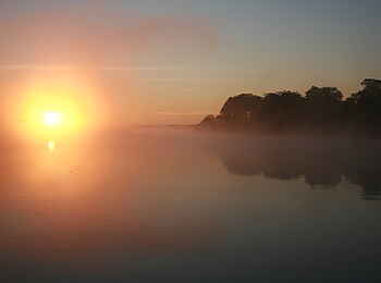 Leopard Lodge: Morgennebel