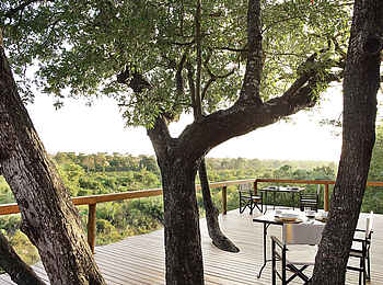 Londolozi Tree Camp: Terrasse