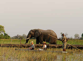 Macatoo Camp: Mokoro-Safari