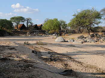 Mwagusi Safari Camp: Blick auf das Camp