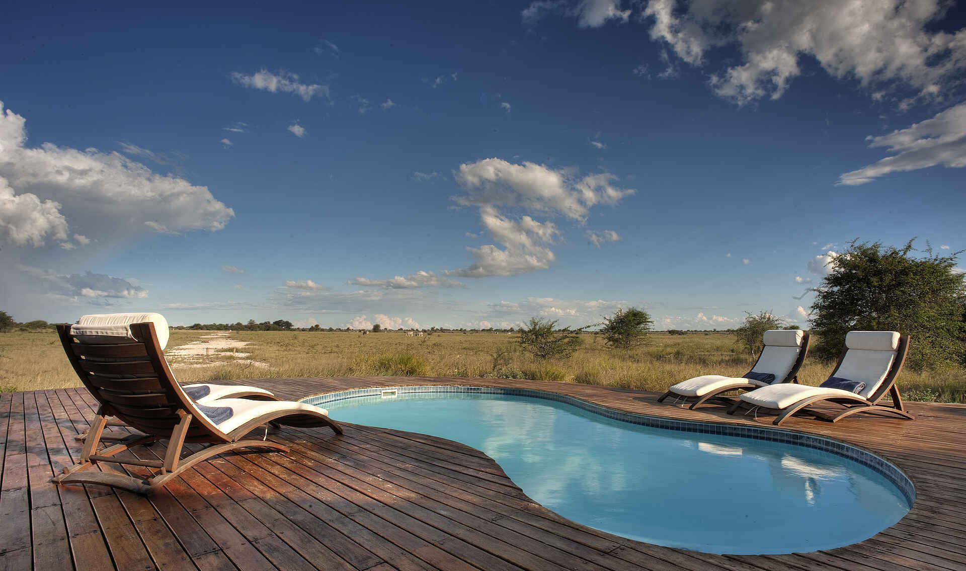 Baines Baobab, Kalahari, Kwando Safaris, Nxai Pan Camp, Nxai Pan National Park, NG 53, Deck, Liegestühle, Pool, Swimming Pool, Nxai Pan, Nxai-Pfanne