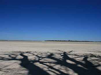 Nxai Pan Camp: Schatten der Baines Baobabs