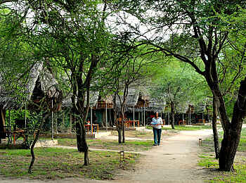 Tarangire Safari Lodge: Zelte Tarangire Safari Lodge: Zelte