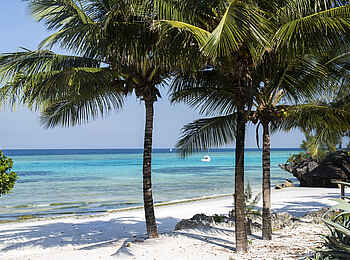 The Aiyana: Palmen spenden Schatten am Strand The Aiyana: Palmen spenden Schatten am Strand