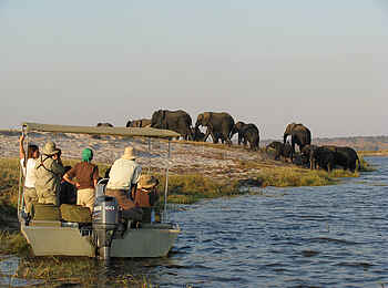 Zambezi Queen: Wildbeobachtung auf Motorbootfahrt