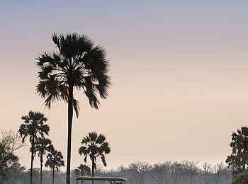 Kanga Expeditions: Geländefahrzeug