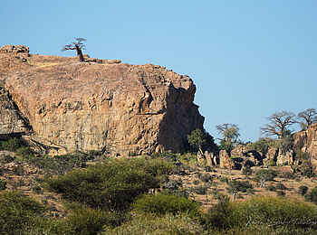 Mashatu Game Reserve: Mmamagwa Hill