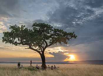 Paradise Plains Camp: Sundowner