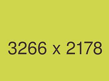 Duke´s East: Im Abendlicht