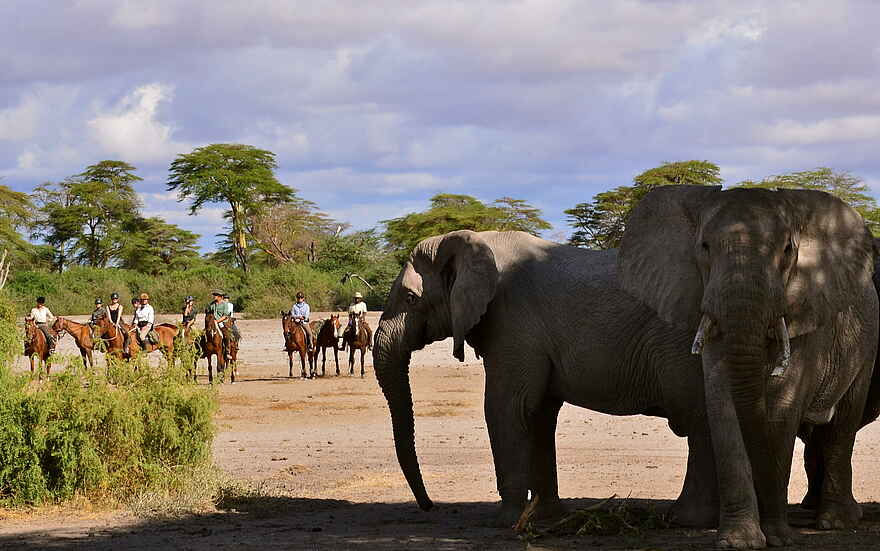 Hamerkop House by Lemala: Reitsafari Hamerkop House by Lemala: Reitsafari