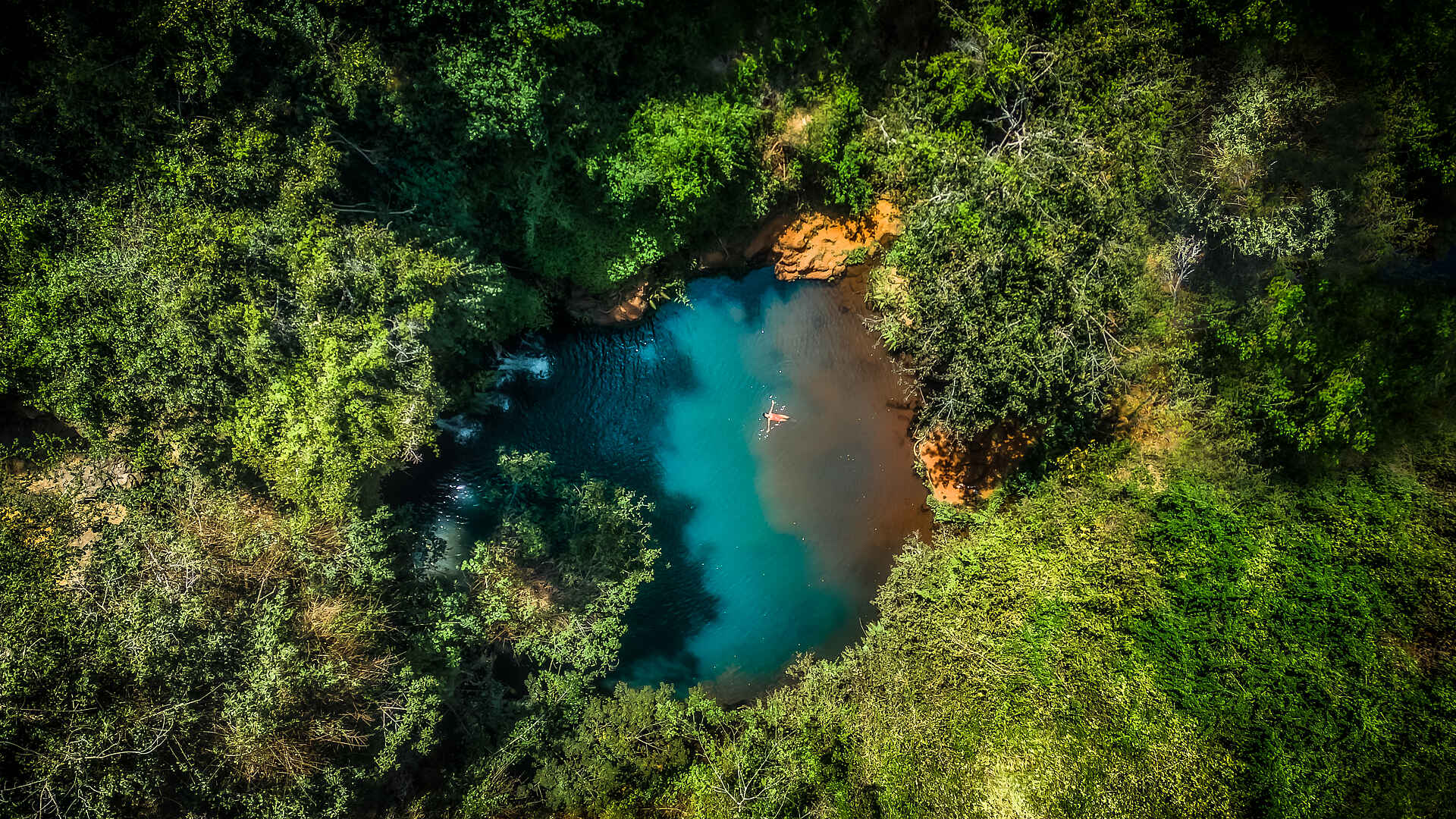 Lewa Safari Camp: Schwimmen im Ngare Ndare Forest Lewa Safari Camp: Schwimmen im Ngare Ndare Forest