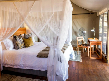 Mankwe Tented Retreat: Gästezelt mit Doppelbettq Mankwe Tented Retreat: Gästezelt mit Doppelbettq