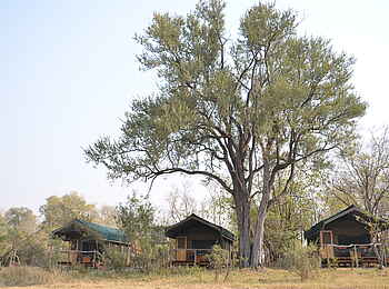 Sango Safari Camp: Gästezelte am Ufer des Khwai River