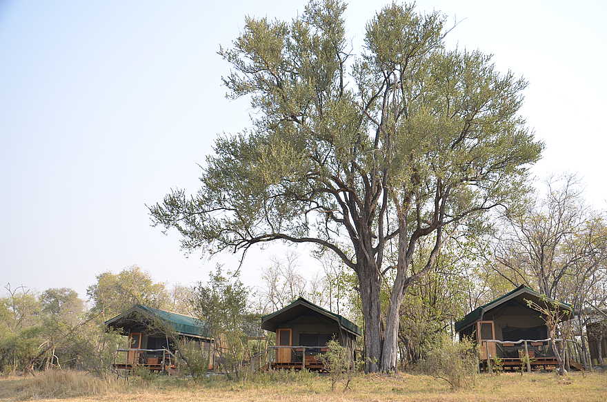 Sango Safari Camp: Gästezelte am Ufer des Khwai River Sango Safari Camp: Gästezelte am Ufer des Khwai River