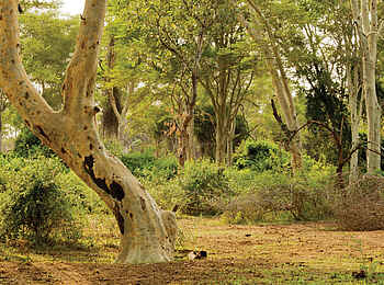 The Outpost: Umgebung der Lodge