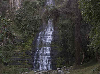 Frog and Fern Cottages: Wasserfälle Frog and Fern Cottages: Wasserfälle