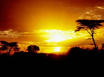 Olare Mara Kempinski: Sonnenuntergang