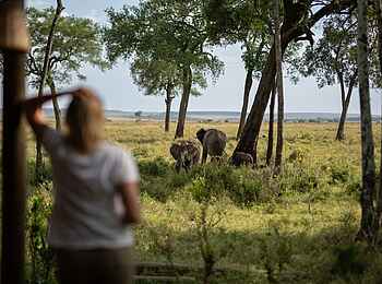 Paradise Plains Camp: Elefanten
