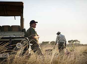 Chada Katavi Camp: Pause