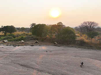 Charlie Ruaha Safari Camp: Camp Layout