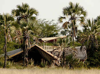 Chem Chem Lodge: Lodge unter Palmen Chem Chem Lodge: Lodge unter Palmen