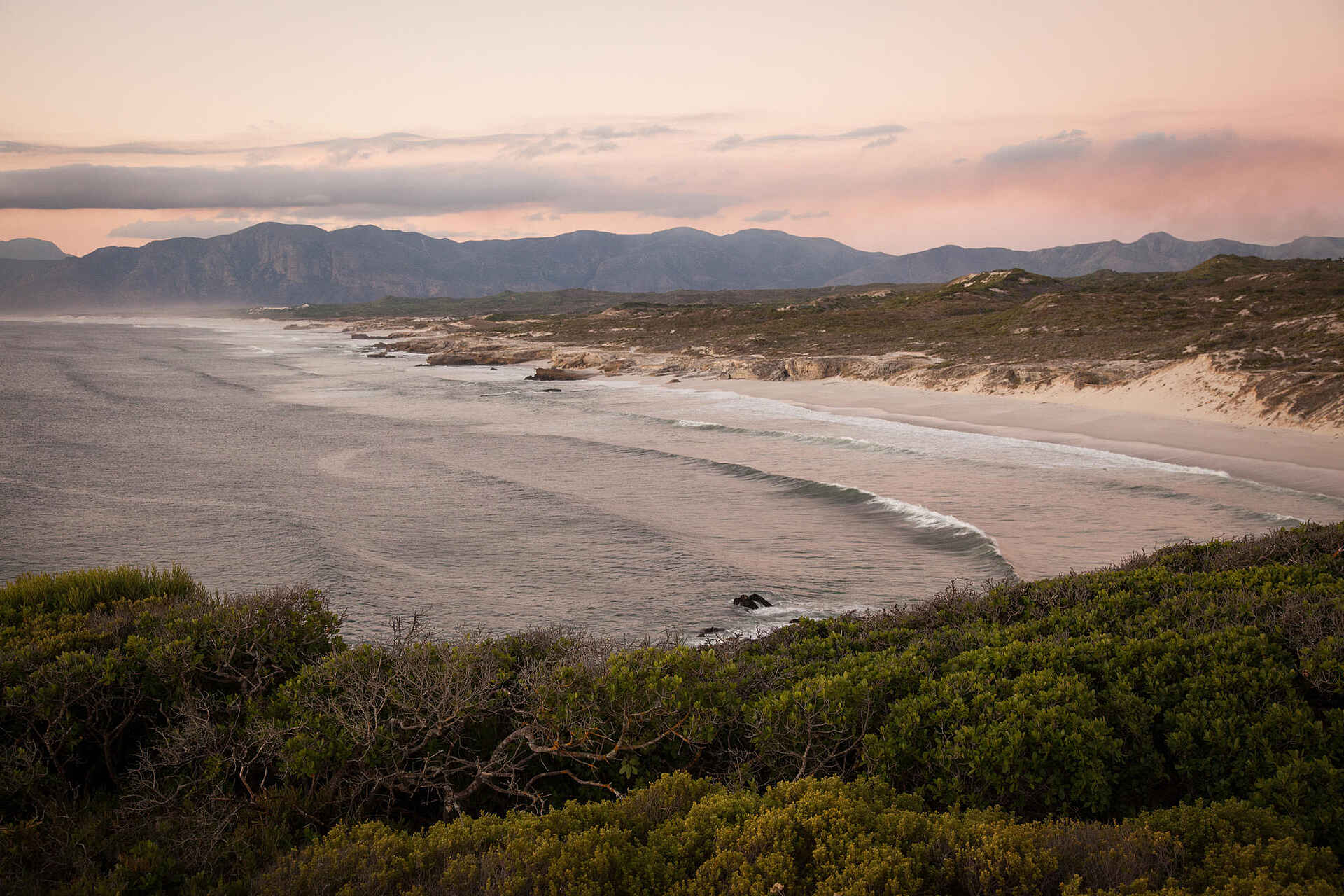 Grootbos Private Villas: Blick auf den Strand