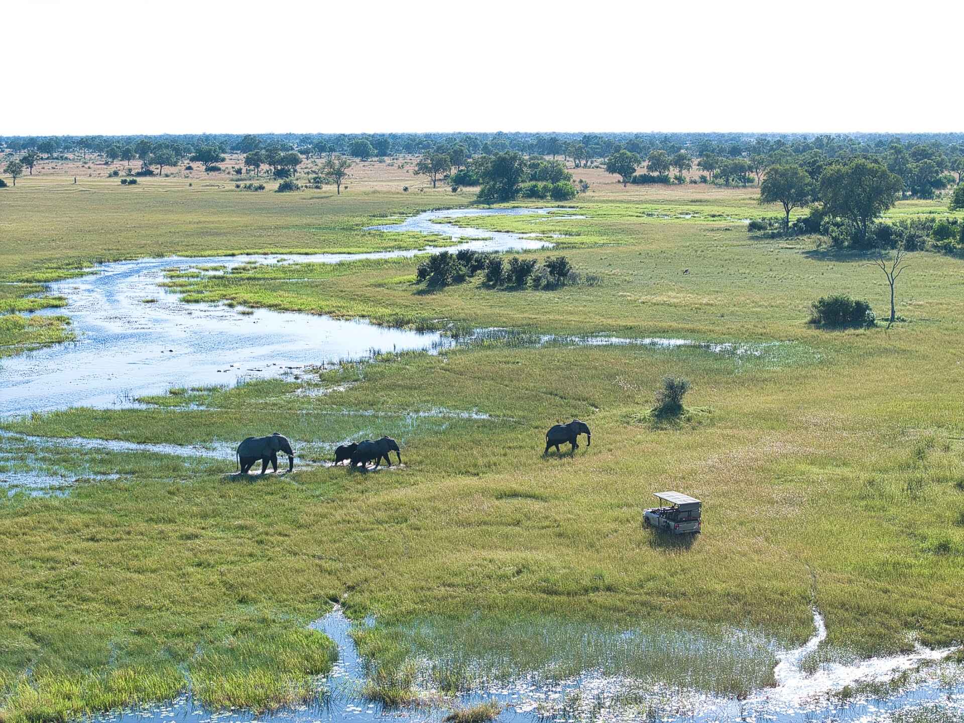 Karangoma Camp: Pirschfahrt mit Elefanten-Sichtung Karangoma Camp: Pirschfahrt mit Elefanten-Sichtung