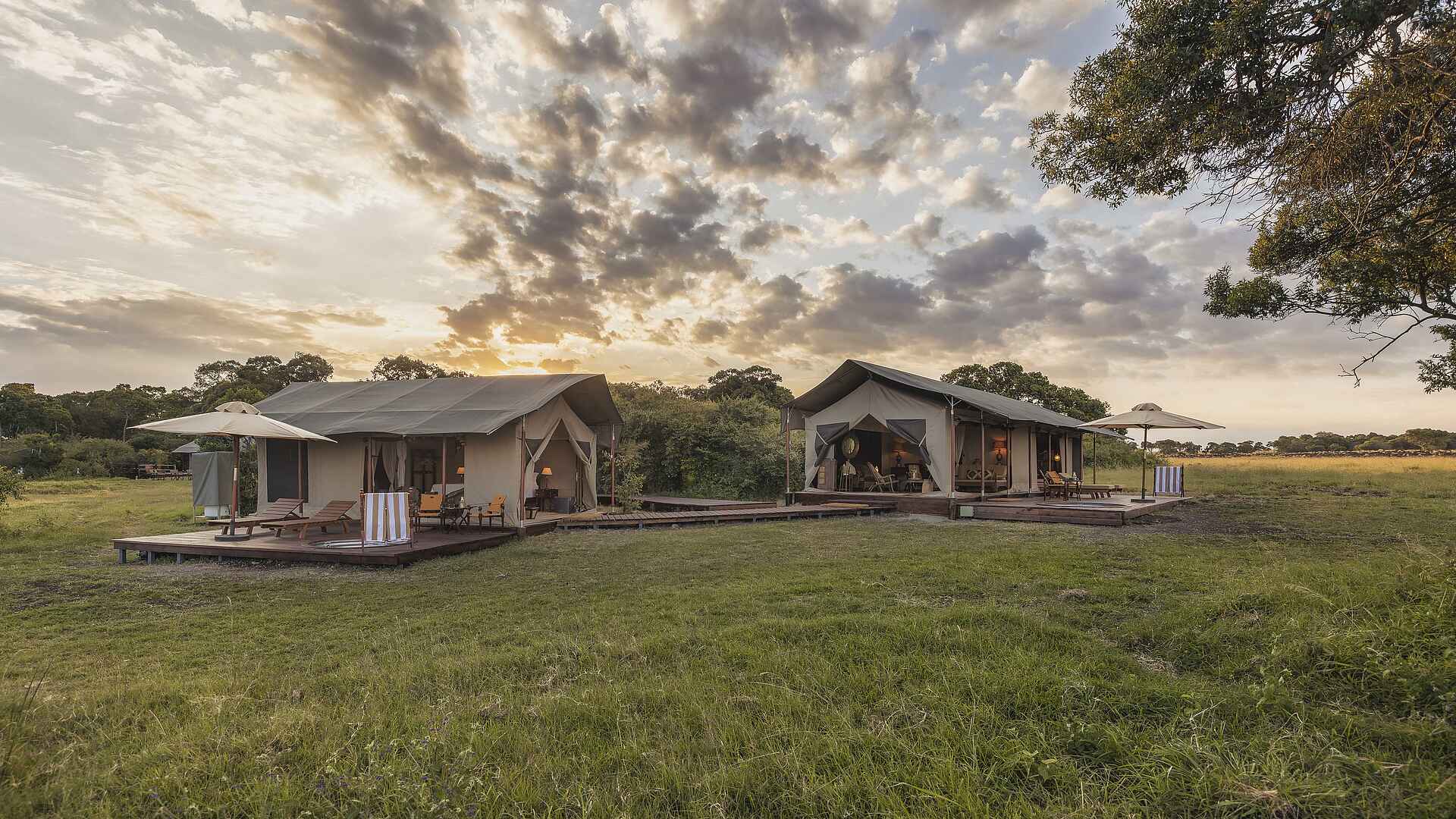 Little Elephant Pepper Camp: Blick auf Familienzelt