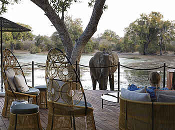 Molori Mashuma Luxury Tented Camp: Elefant zu Besuch