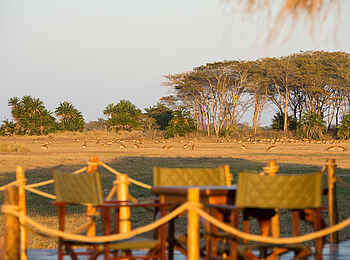 Mukambi Busanga Plains Camp: Die Landschaft vor dem Camp Mukambi Busanga Plains Camp: Die Landschaft vor dem Camp