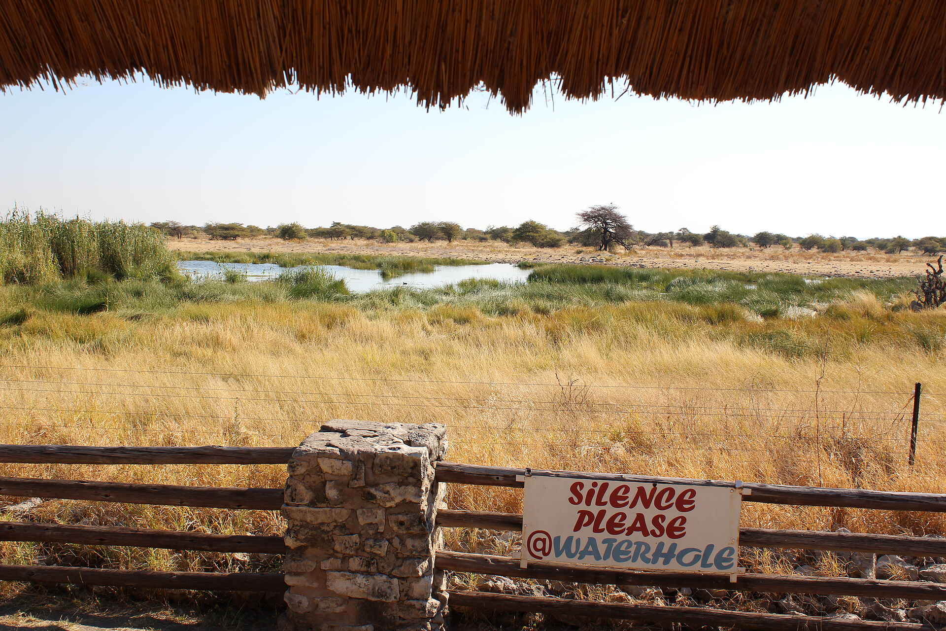 Namutoni Camp: Blick aufs Wasserloch