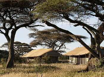 Ndutu Kati Kati Tented Camp: Rückansicht zweier Gästezelte