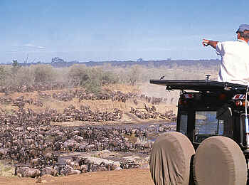 Serengeti Safari Camp: Flussüberquerung