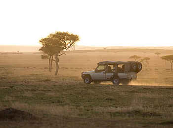 Serian's Serengeti South Camp: Pirschfahrt