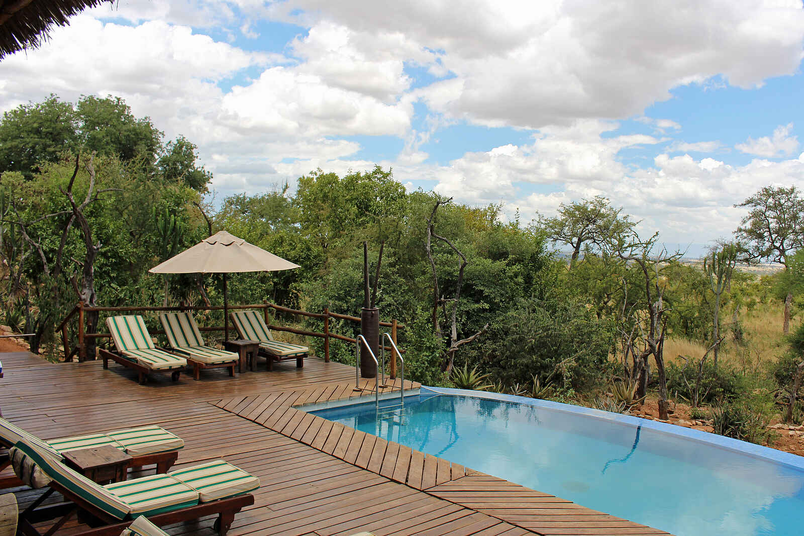 Tarangire Treetops: Swimmingpool Tarangire Treetops: Swimmingpool