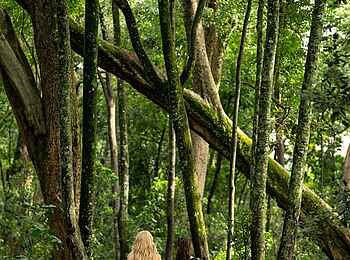 Paradise Plains Camp: unterwegs zum Yoga