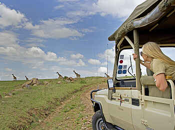 Sanctuary Olonana: Game Drive Sanctuary Olonana: Game Drive