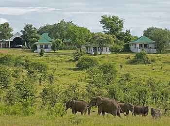Chichele Presidential Lodge: Elefanten vor der Lodge Chichele Presidential Lodge: Elefanten vor der Lodge