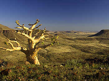Etendeka Mountain Camp: Blau und Grün Etendeka Mountain Camp: Blau und Grün