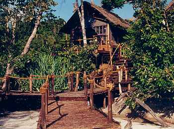 Fundu Lagoon: Stelzenwege zu den Zelten Fundu Lagoon: Stelzenwege zu den Zelten