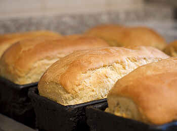 Gibbs Farm: Hier wird selbst gebacken