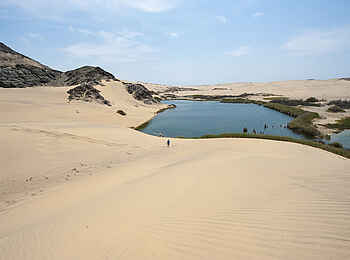 Hoanib Skeleton Coast Camp: Fluss in der Wüste Hoanib Skeleton Coast Camp: Fluss in der Wüste