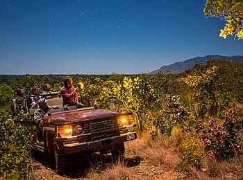 Kasaka River Lodge: Night Drive Kasaka River Lodge: Night Drive
