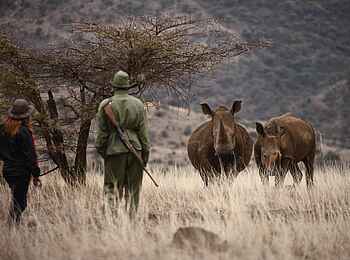 Lewa Safari Camp: Nashornbegegnung