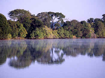 Mukambi Fig Tree Bush Camp: Der Kafue River am frühen Morgen