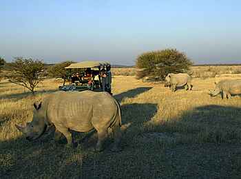 Ongava Lodge: Nashornbegegnung Ongava Lodge: Nashornbegegnung