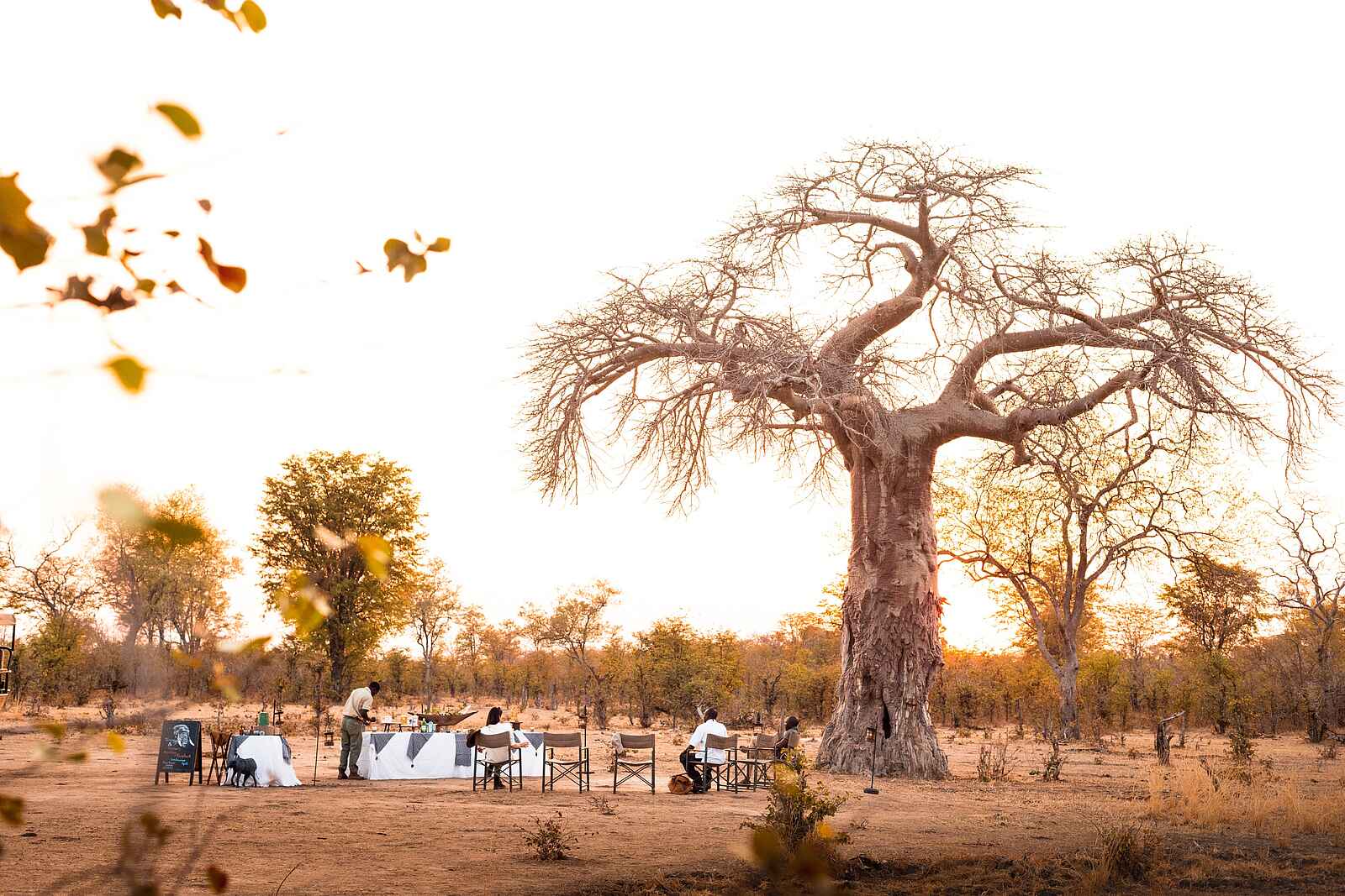 Puku Ridge Camp: Sundowner in der Wildnis Puku Ridge Camp: Sundowner in der Wildnis