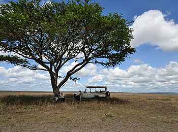Sanctuary Serengeti Migration Camp: Pause im Schatten eines Baumes Sanctuary Serengeti Migration Camp: Pause im Schatten eines Baumes