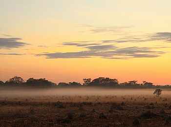 Wasa Lodge: Morgennebel