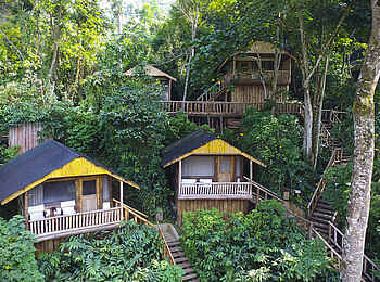 Buhoma Lodge: Gästechalets zwischen Bäumen